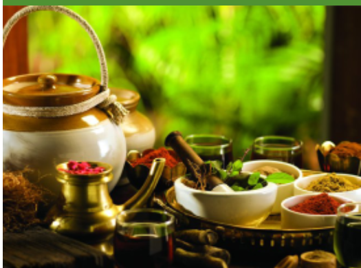cauvery ayurveda Gramam
