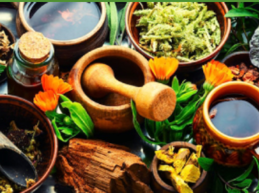 cauvery ayurveda Gramam