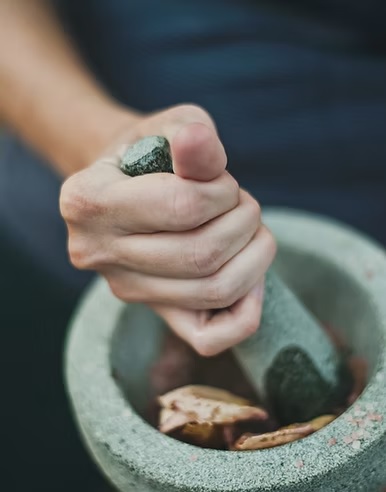 Upasya Ayurveda