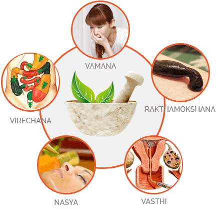 Herbal Ayurvedic & Panchkarma Clinic