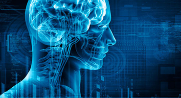 AVN Arogya Ayurvedic Centre