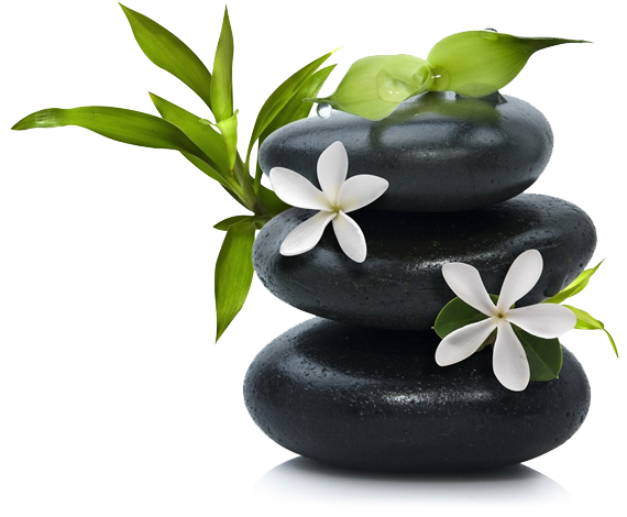 Santoshland Vedic wellness kerala Ayurveda