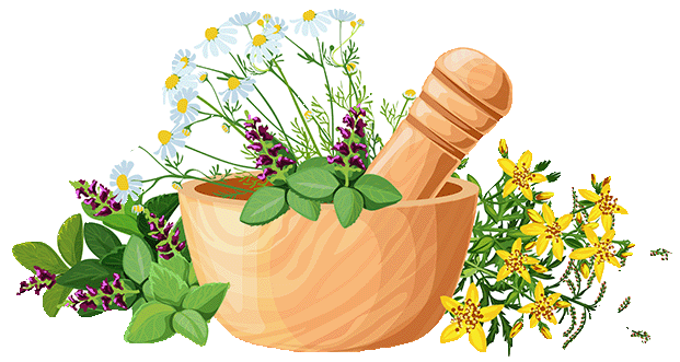 MITHRAN HEALTHCARE CENTRE