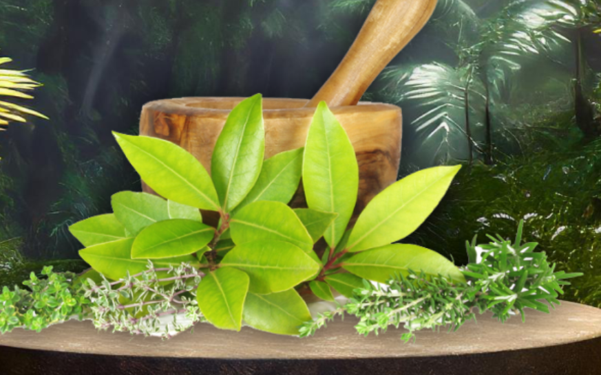 RJR Herbal Hospital