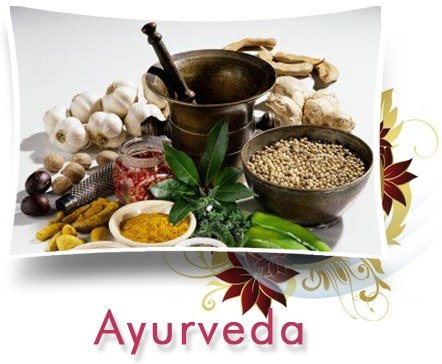 Lotus Ayurveda Wellness Center