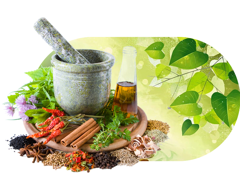 Deeksha Ayurveda Wellness Center