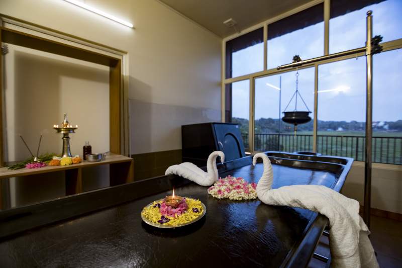 Dheemahi Ayurvedic Private Limited