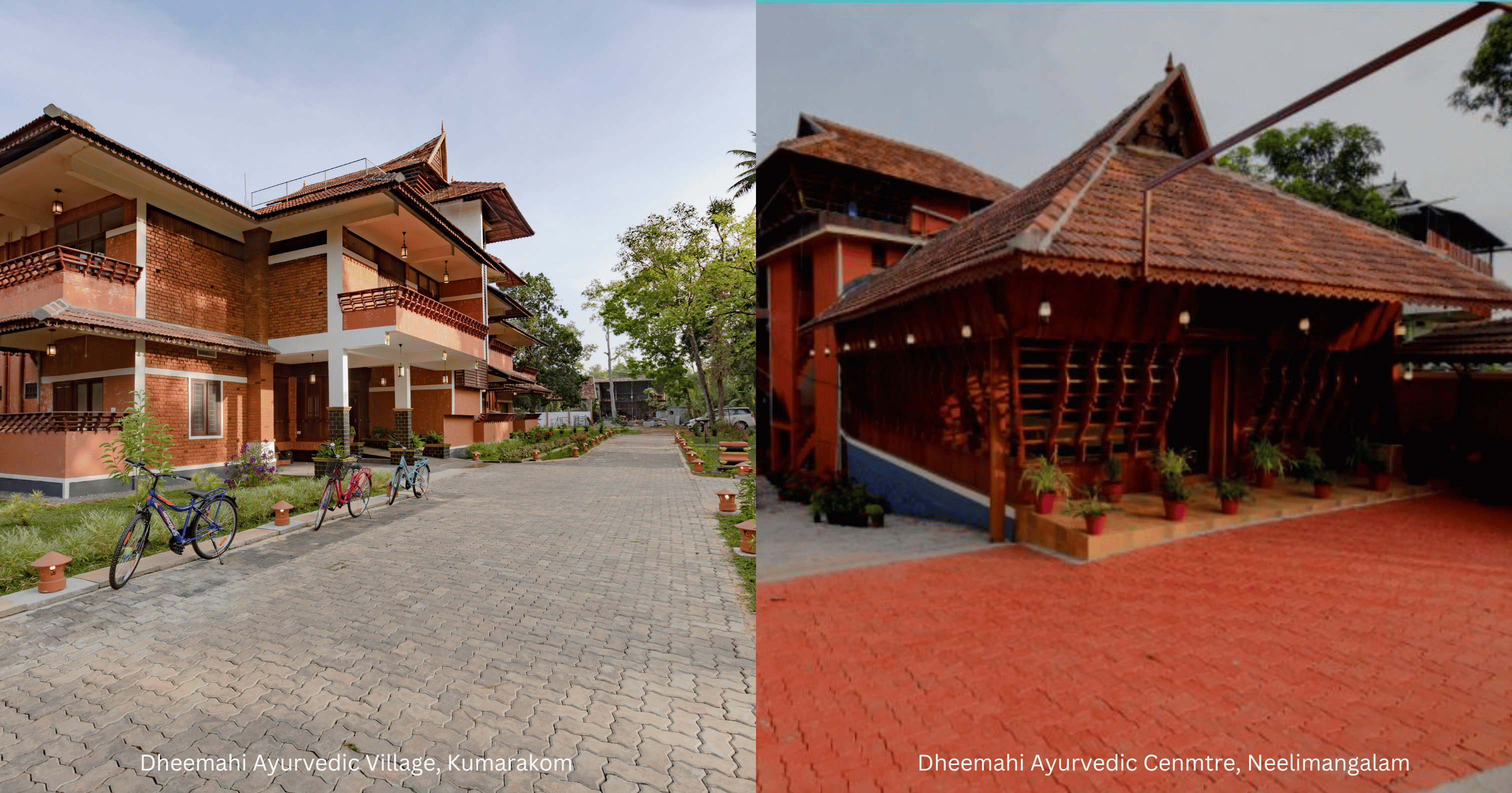 Dheemahi Ayurvedic Private Limited