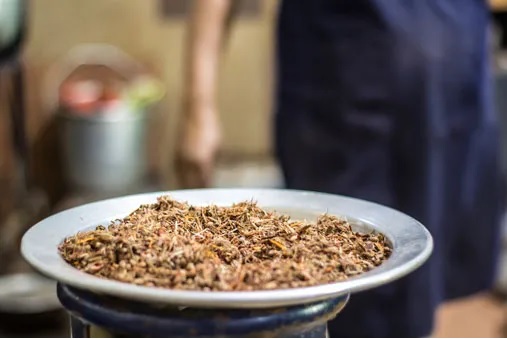 Sree Subramania Ayurvedic Nursing Home