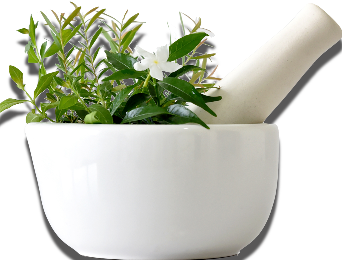 Parnika Ayurvedalaya