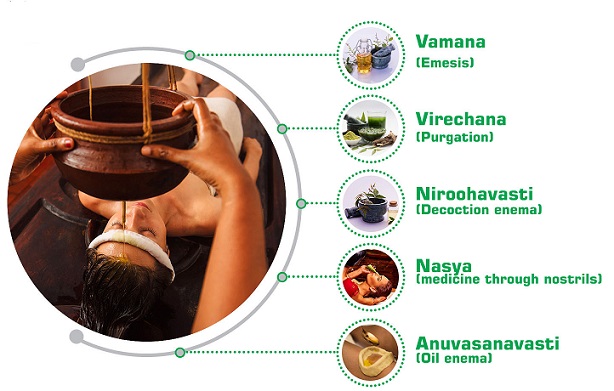 Souhridas AyurInsight