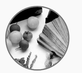 The Raiguru Ayurveda