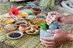 Herbal Ayurveda and Yoga Clinic